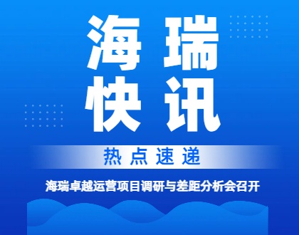 直面问题，共识变革 | 海瑞卓越运营项目调研与差距分析会召开